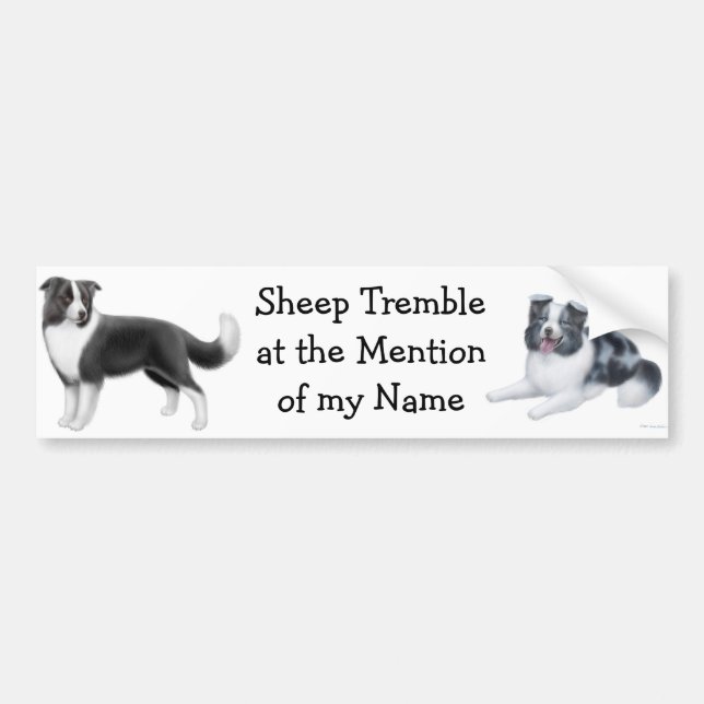 Border Collie Herding Bumper Sticker (Front)