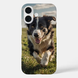 Border Collie Herding iPhone 16 Case