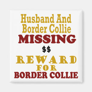 Border Collie & Husband Missing Reward For Border Magnet