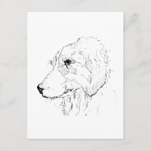 Border Collie Illustration – Minimalist Art Postcard