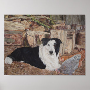 border collie in log shed with chickens portrait poster