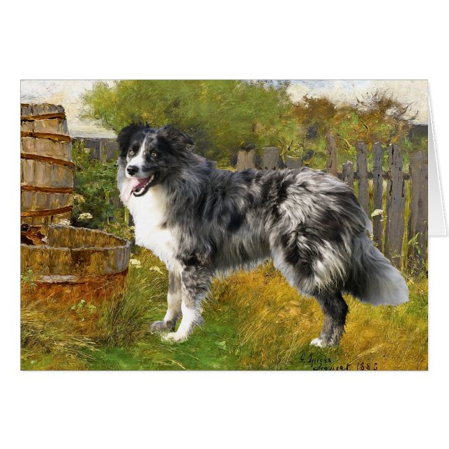 Border Collie in Pastoral Setting (Front Horizontal)