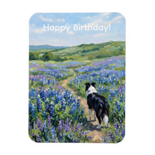 Border Collie in Purple Flowers Magnet
