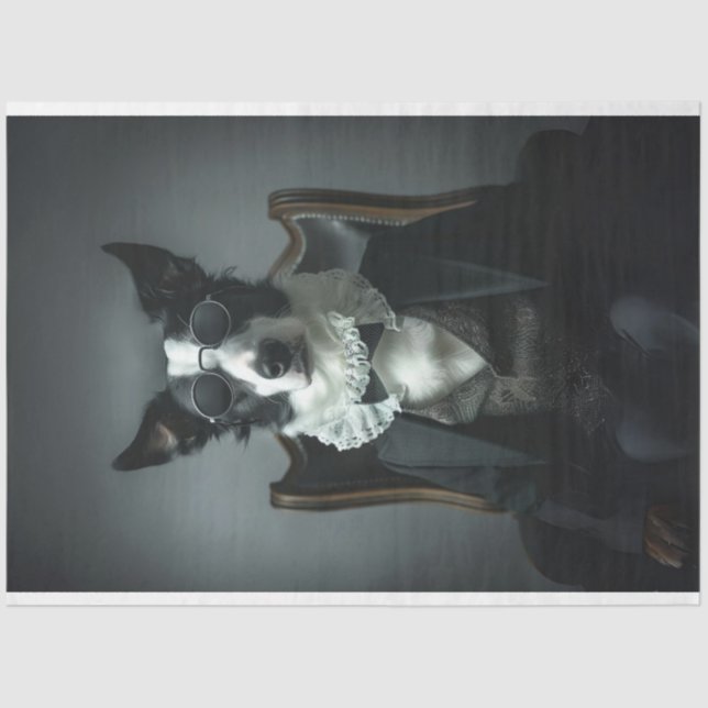 Border Collie in Suite Shades Decoupage Tissue Paper (Front)