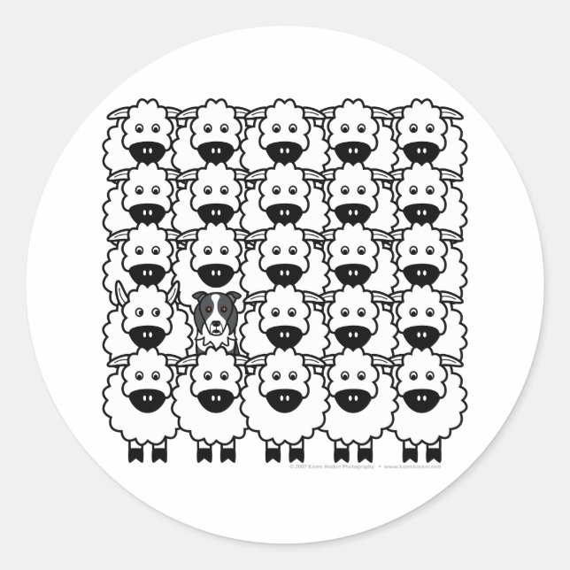 Border Collie in the Sheep Classic Round Sticker (Front)