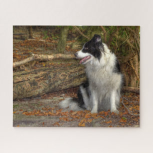 Border Collie in the Woods Jigsaw Puzzle