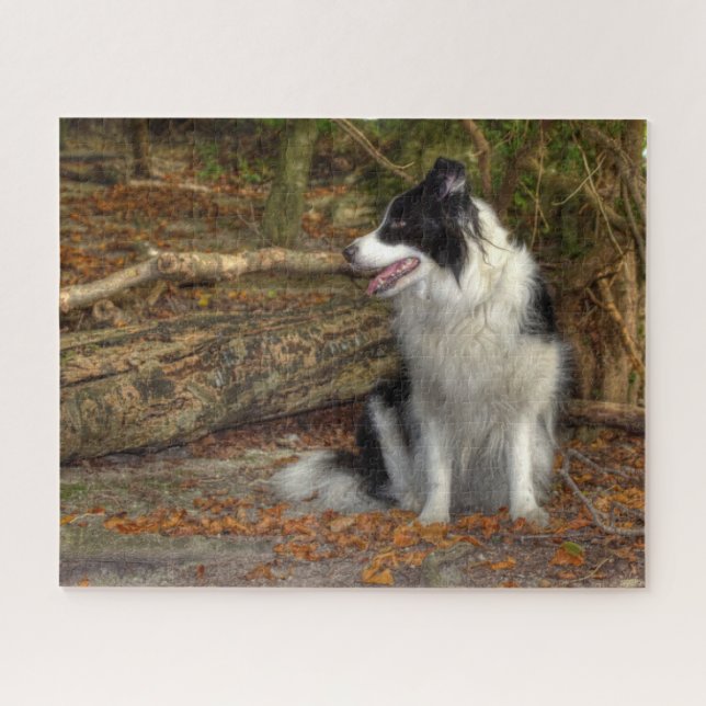 Border Collie in the Woods Jigsaw Puzzle (Horizontal)