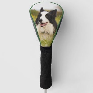border collie in wildflowers golf head cover