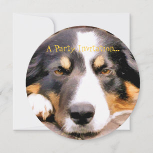 BORDER COLLIE INVITATION