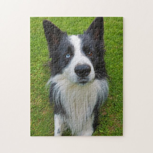 Border Collie Jigsaw Puzzle (Vertical)