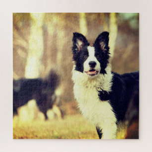 Border Collie Jigsaw Puzzle