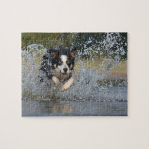 Border Collie Jigsaw Puzzle