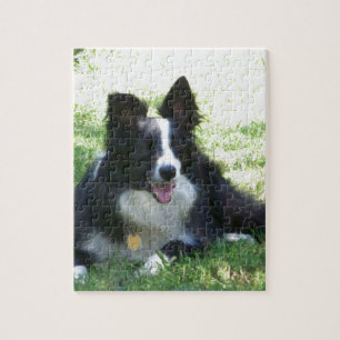 Border Collie Jigsaw Puzzle