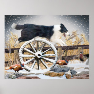 Border Collie Jumping wagon wheel Poster