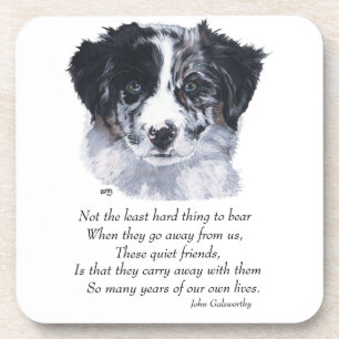 Border Collie Keepsakes Coaster
