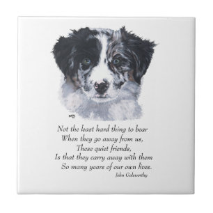 Border Collie Keepsakes Tile
