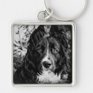 Border Collie Key Chain