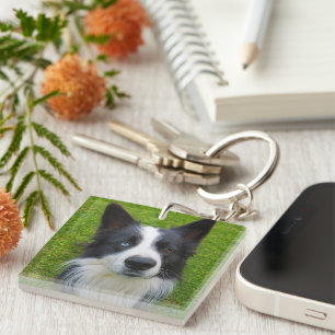 Border Collie Key Ring