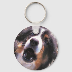 BORDER COLLIE KEY RING