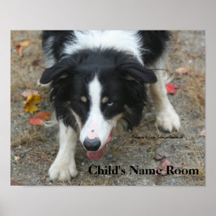 Border Collie Kids Room Personalised Wall Poster