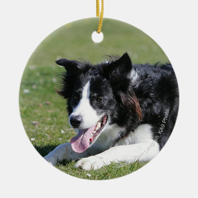 Border Collie Laying Down Ceramic Ornament (Front)