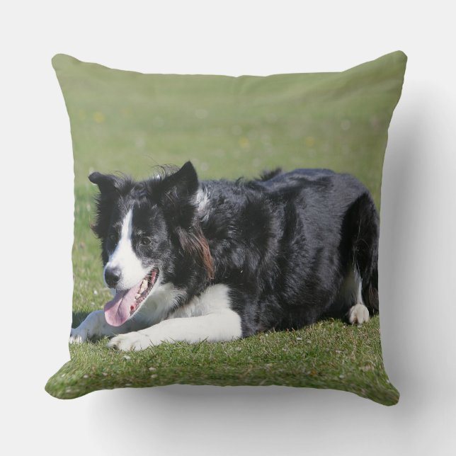 Border Collie Laying Down Cushion (Front)
