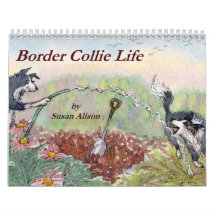 Border Collie Life wall calendar