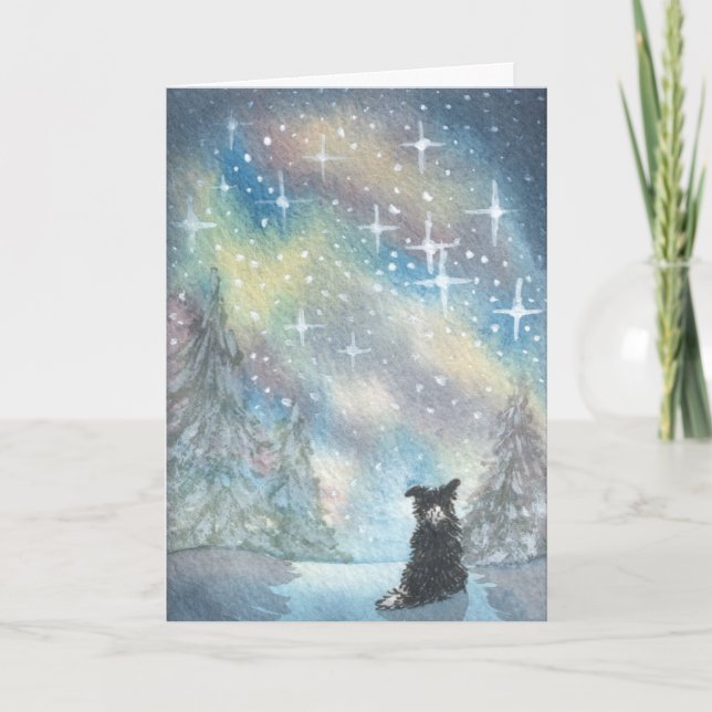 Border Collie Looks At Starry Sky, Holidays CARD (Front)