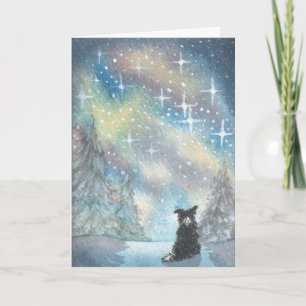 Border Collie Looks At Starry Sky, Holidays CARD