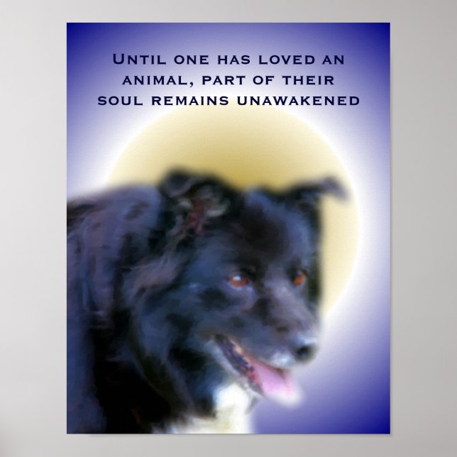 Border Collie Love For Animals Inspirational Poster (Front)