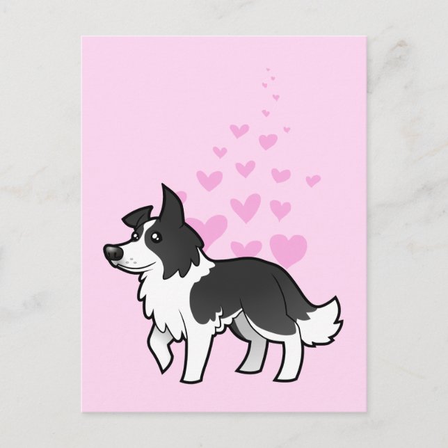 Border Collie Love Postcard (Front)