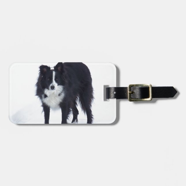 Border Collie Luggage Tag (Front Horizontal)