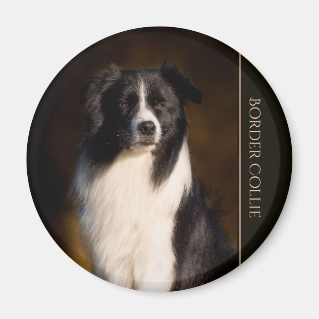Border Collie Magnet (Front)
