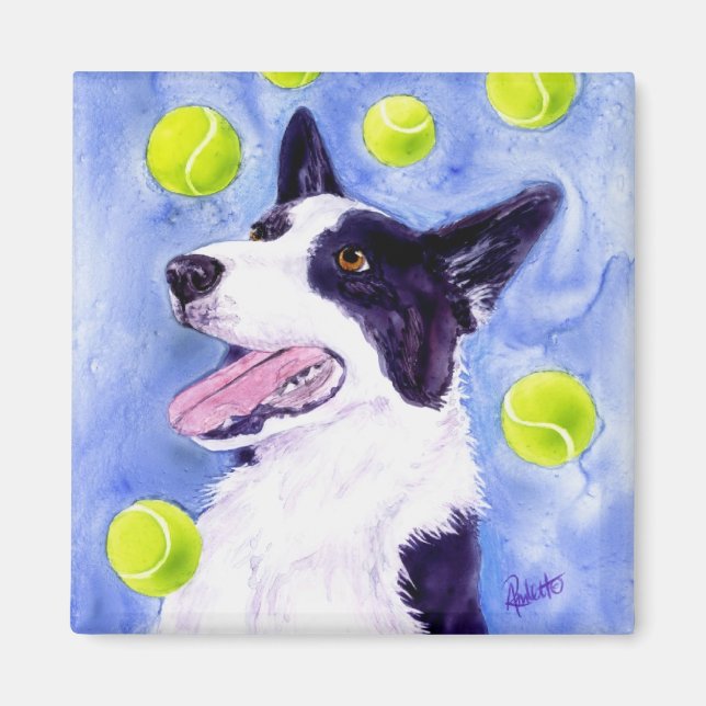 Border Collie Magnet - "Magpie's Gold" (Front)