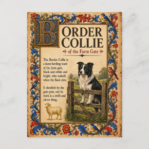Border Collie, Mediaeval Bestiary Art Postcard