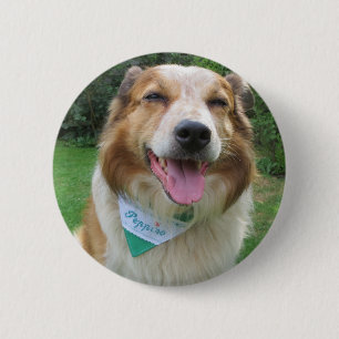 border collie mix 6 cm round badge