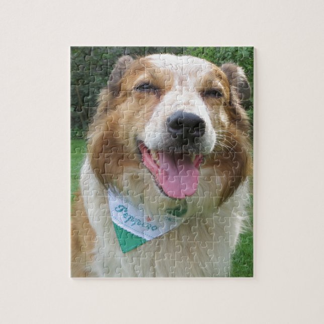 border collie mix jigsaw puzzle (Vertical)