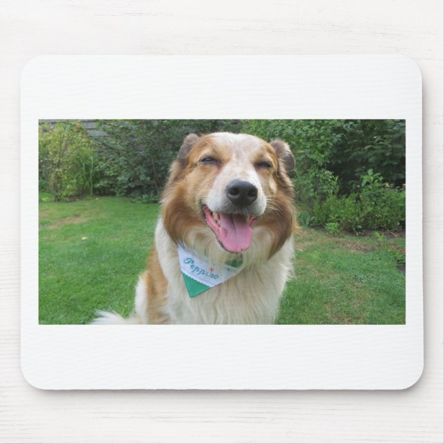 border collie mix mouse pad (Front)