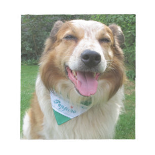 border collie mix notepad