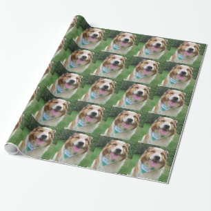 border collie mix wrapping paper