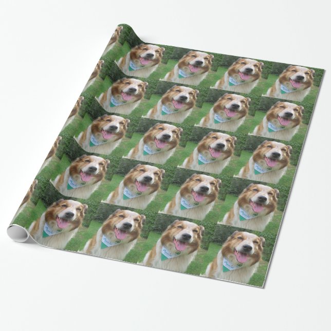 border collie mix wrapping paper (Unrolled)