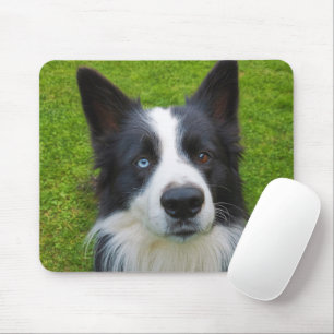 Border Collie Mouse Pad