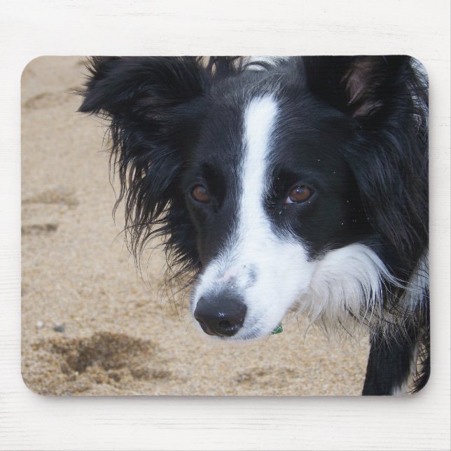 Border Collie Mouse Pad (Front)