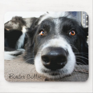 Border collie mouse pad