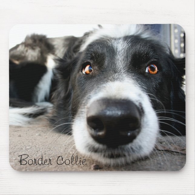 Border collie mouse pad (Front)