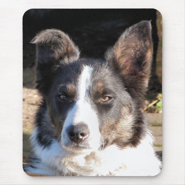 BORDER COLLIE MOUSE PAD (Front)