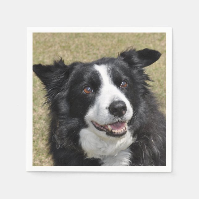 Border collie  napkin (Front)