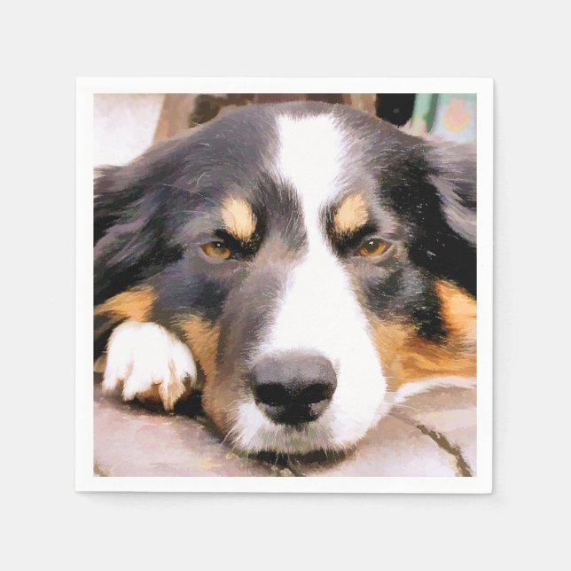 BORDER COLLIE NAPKIN (Front)