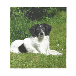 Border Collie Notepad