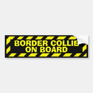 Border Collie on board yellow caution sticker